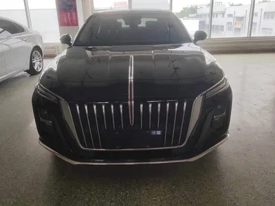 2024 Hongqi H5 1.5T DCT Smart Connect Flag Rhythm Edition, фото 2, лот 11204219