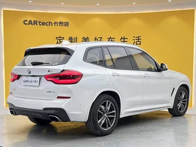 2019 BMW X3 xDrive30i Leading M Sport Package, фото 4, лот 10680195