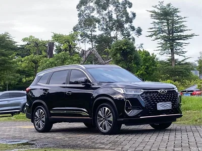 2024 Chery Tiggo 8 PRO Champion Edition 390T 2WD Peak Edition 5-Seater, фото 3, лот 10333867
