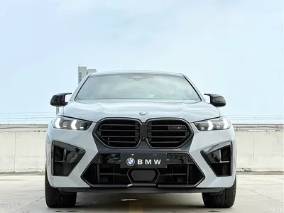 2023 BMW X6 M Model X6 M Thunder Edition, фото 2, лот 10407135