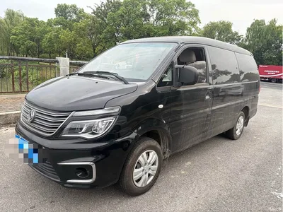 2018 Dongfeng Lingzhi M5L 2.0L 7-Seater Comfort, фото 1, лот 11151616