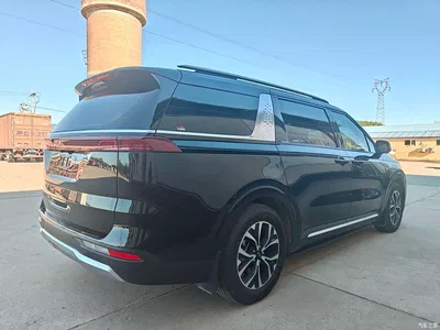 2021 Kia Carnival 2.0T Flagship Edition, фото 4, лот 10336307