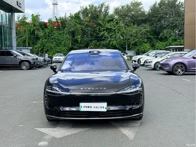 2024 Xiangjie Enjoy World S9 Pure Electric Ultra AWD Flagship Edition, фото 2, лот 10831847