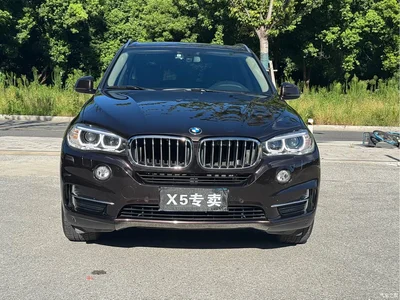 2018 BMW X5 (Import) xDrive28i, фото 2, лот 10464531