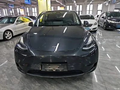 2024 Tesla Model Y Rear-Wheel Drive Version, фото 3, лот 11067804