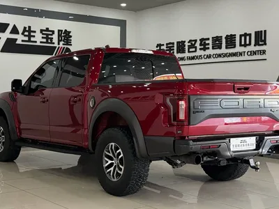 2018 Ford F-150 Raptor 3.5T Raptor Performance Enhanced Edition, фото 4, лот 10280445