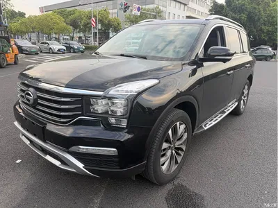 2017 GAC Trumpchi Trumpchi GS8 320T 2WD Luxury Smart Connect (7-seater), фото 1, лот 10415226