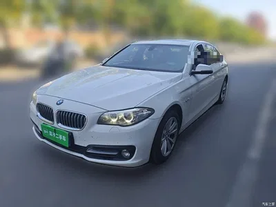2014 BMW 5 Series 520Li Elegance, фото 2, лот 11195974