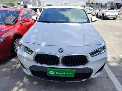 2020 BMW X2 sDrive25i Leading M Off-Road Package, фото 3, лот 10475600