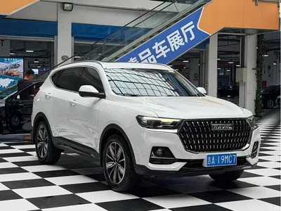 2023 Haval H6 National Trend Edition 1.5T Automatic Champion, фото 3, лот 10300917