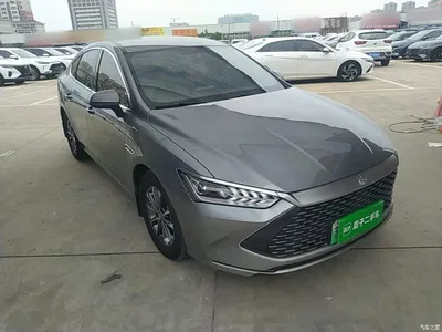 2023 BYD Qin PLUS Champion Edition DM-i 55KM Leading, фото 4, лот 11081721