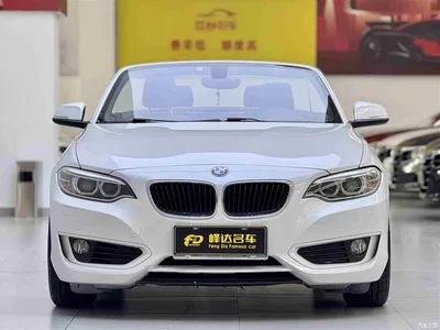 2015 BMW 2 Series (Import) 218i Convertible Coupe, фото 4, лот 10420572