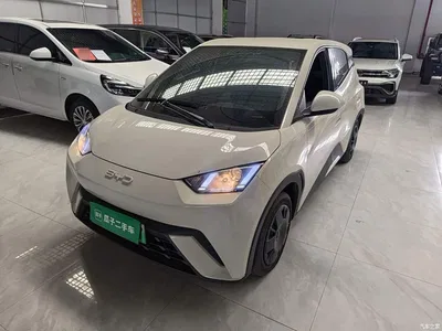 2024 BYD Seagull Glory Edition 305km Vitality Edition, фото 1, лот 10262896