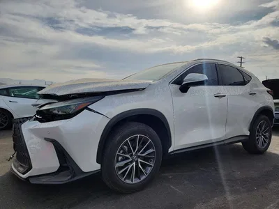 2025 LEXUS NX 250 PREMIUM, фото 1, лот 10846756
