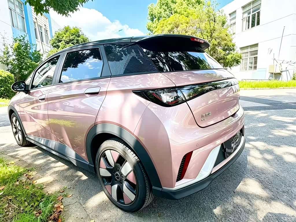 2021 BYD Dolphin 401km Knight Edition, фото 3, лот 11210973