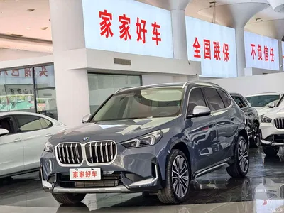 2023 BMW X1 xDrive25Li M Sport Package, фото 1, лот 10238604