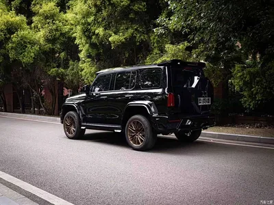 2021 Tank 300 Off-road Version 2.0T Conqueror, фото 2, лот 10344466