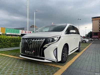 2021 GAC Trumpchi Trumpchi M8 Leading Show Series 390T Prestige Edition, фото 1, лот 10416083