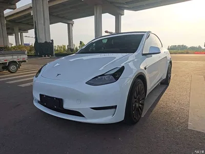2021 Tesla Model Y Standard Range Rear-Wheel Drive, фото 2, лот 11096338