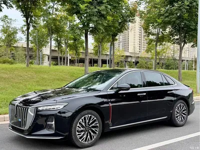 2025 Hongqi H5 2.0T Automatic Flag Celebration 500,000 Units Anniversary Edition, фото 1, лот 10415647