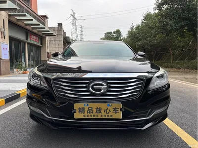 2017 GAC Trumpchi Trumpchi GA8 280T Premium Edition, фото 2, лот 10414829