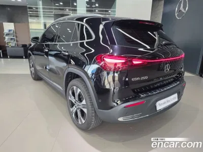 2025 Mercedes-Benz EQA H243 EQA250 Progressive, фото 2, лот 10164526