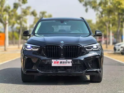 2020 BMW X5 (Import) xDrive40i M Sport Package, фото 2, лот 10239037