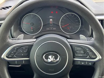 2021 Great Wall Pao 2.0T Commercial Edition Automatic Diesel 2WD Elite Long Box GW4D20M, фото 4, лот 10245863