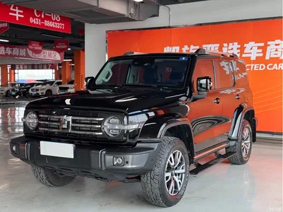 2023 Tank 300 Urban Edition 2.0T Very Stylish, фото 1, лот 10345233