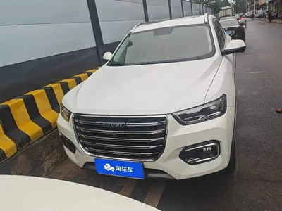 2020 Haval H6 1.5GDIT Automatic Platinum Champion Edition, фото 2, лот 10299611