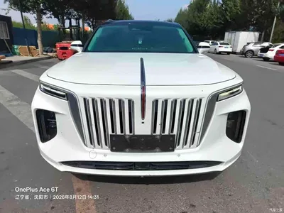 2021 Hongqi E-HS9 510km Flagship Comfort 6-seater, фото 1, лот 10286416