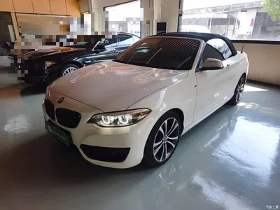 2019 BMW 2 Series (Import) 225i Convertible Coupe Sport Design Package, фото 2, лот 10471411