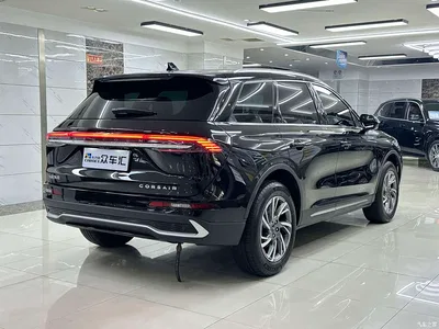2023 Lincoln Adventurer 2.0T 2WD Zunxiang Edition, фото 4, лот 10357824