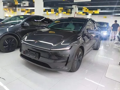 2025 Tesla Model Y Long Range All-Wheel Drive, фото 2, лот 10369890