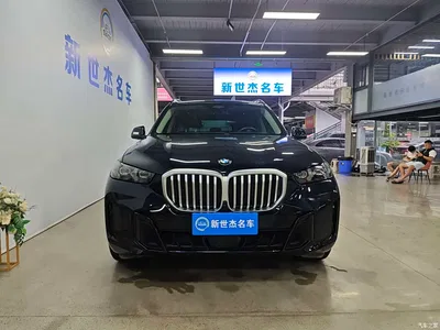 2023 BMW X5 xDrive 30Li Premium M Sport Black Night Package, фото 2, лот 10463244