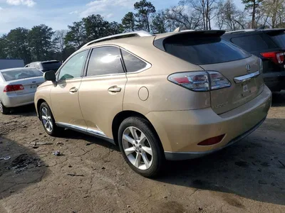 2010 LEXUS RX 350 BASE, фото 2, лот 10849400