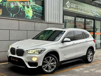 2018 BMW X1 sDrive20Li Leading Model, фото 1, лот 10431946