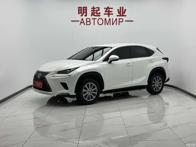 2020 Lexus NX 200 FWD Sharp Edition China VI, фото 1, лот 10312450