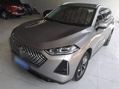 2021 WEY Macchiato DHT 1.5L DHT Master Edition, фото 2, лот 11242023