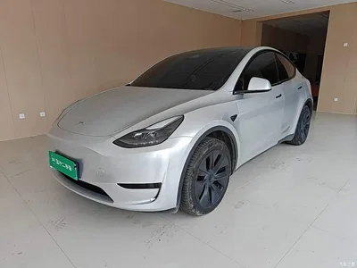 2024 Tesla Model Y Rear-Wheel Drive Version, фото 1, лот 10370333
