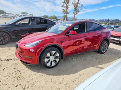 2024 TESLA MODEL Y, фото 1, лот 11588125