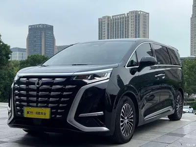 2024 Denza D9 DM-i 1050 Premium, фото 1, лот 11243651