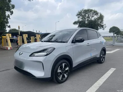 2024 Wuling Motors Wuling Binguo PLUS Model 330km 5-Seater, фото 2, лот 10835991