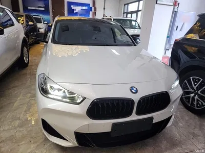 2021 BMW X2 Facelift sDrive25i M Sport Package, фото 3, лот 10475503