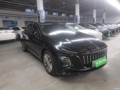2023 Hongqi E-QM5 620km PLUS, фото 4, лот 11218887