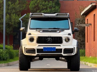 2019 Mercedes-Benz G-Class G 500, фото 2, лот 10254603