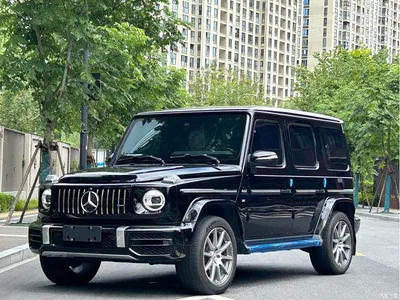 2020 Mercedes-Benz G-Class G 350, фото 1, лот 10260173