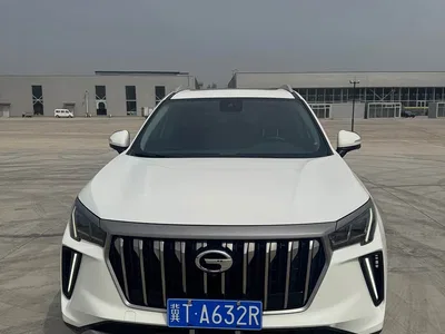 2022 GAC Trumpchi Trumpchi GS4 PLUS 390T Automatic Nebula Edition, фото 1, лот 10420384