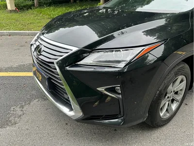2016 Lexus RX 300 2WD Comfort Edition China V, фото 4, лот 10316748