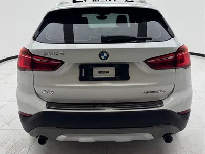 2019 BMW X1 xDrive20Li Premium Model, фото 4, лот 10466209